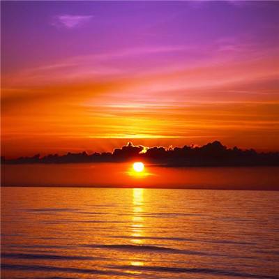 博鱼中国官网下载入口